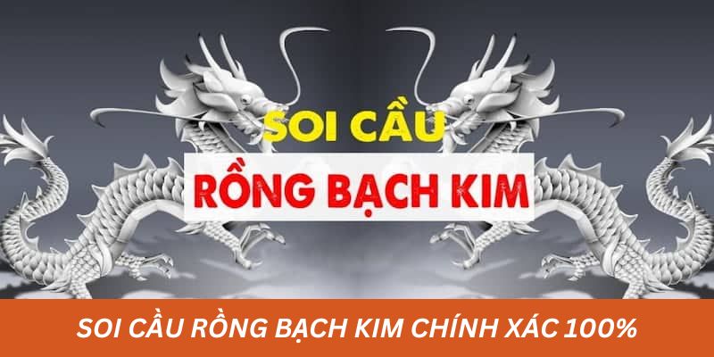 Đôi nét về soi cầu rồng bạch kim chính xác 100%