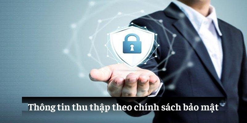 Dữ liệu nào được thu thập theo chính sách bảo mật?